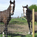 Field fence